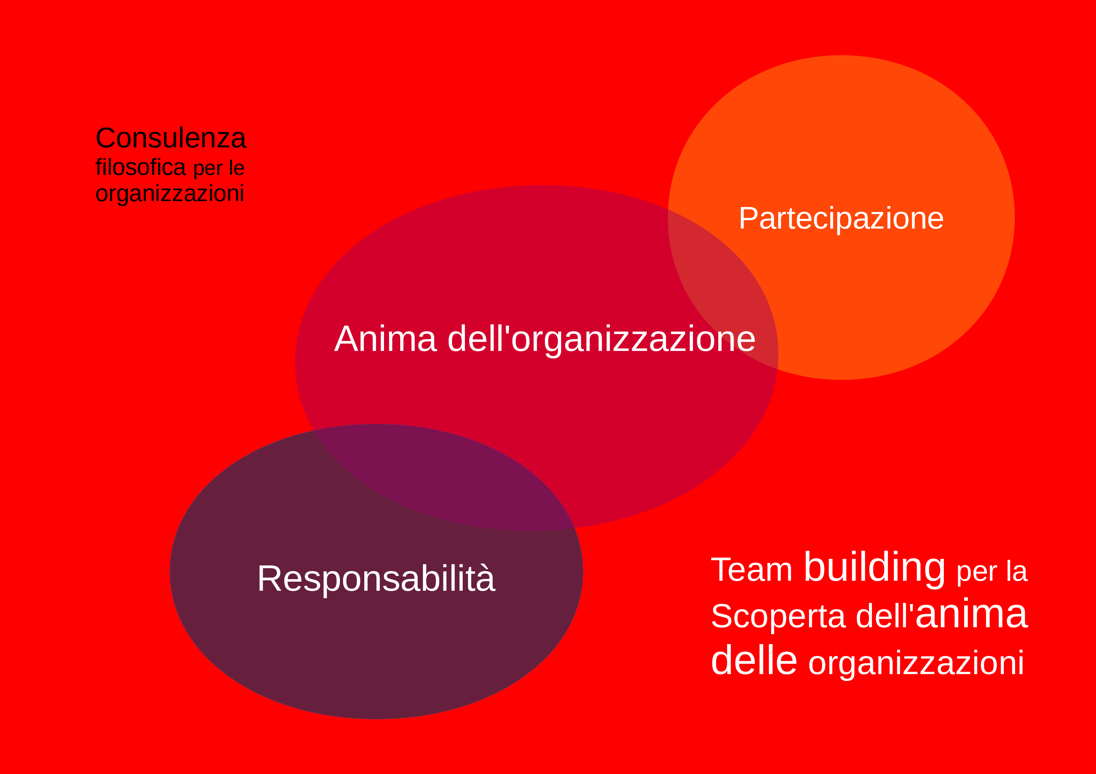 Alle Organizzazioni 